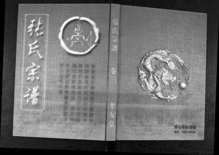 湖北张氏族谱-张氏大成宗谱.pdf电子版缩略图