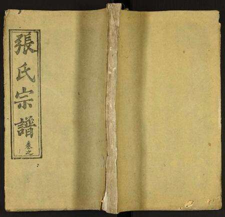 湖北张氏族谱-张氏宗谱.pdf电子版缩略图