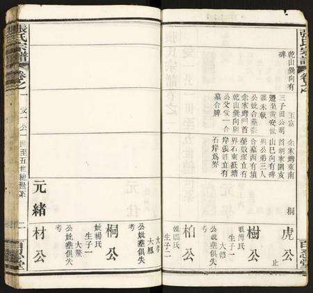 湖北张氏族谱-张氏宗谱.pdf电子版预览图2