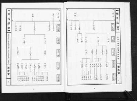 湖北张氏族谱-张氏宗谱.pdf电子版预览图5