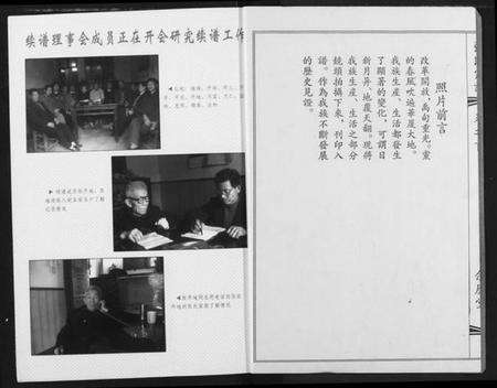 湖北张氏族谱-张氏宗谱.pdf电子版预览图2
