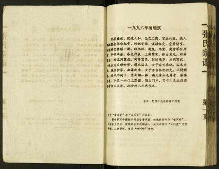 湖北张氏族谱-张氏宗谱.pdf电子版预览图2