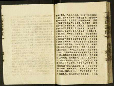 湖北张氏族谱-张氏宗谱.pdf电子版预览图3