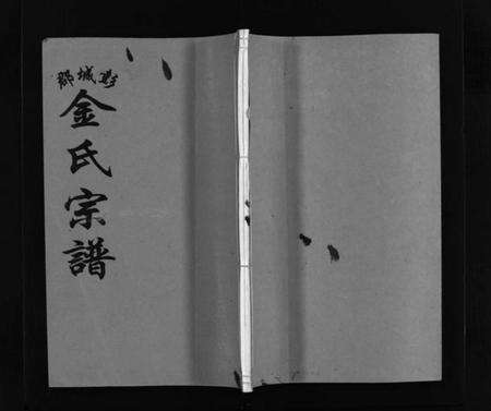 浙江金氏族谱-彭城郡金氏宗谱 [5卷].pdf电子版预览图1