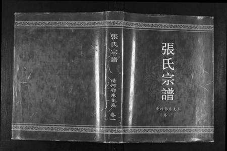 湖北张氏族谱-张氏宗谱.清河鄂东支系.pdf电子版缩略图