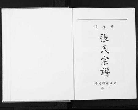 湖北张氏族谱-张氏宗谱.清河鄂东支系.pdf电子版预览图1