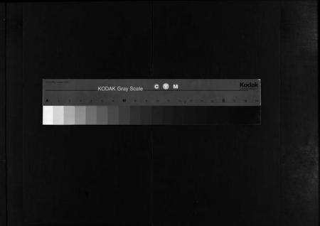 浙江金氏族谱-彭城金氏宗谱 [不分卷].pdf电子版缩略图