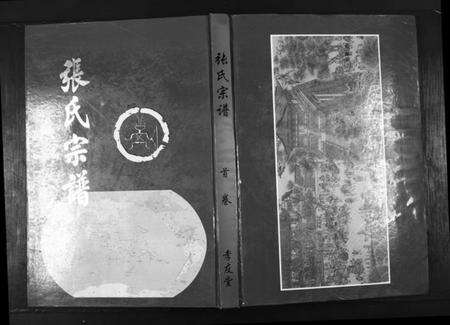 湖北张氏族谱-张氏宗谱[22卷首1卷].pdf电子版缩略图