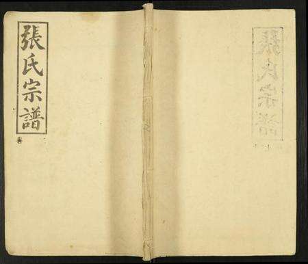 湖北张氏族谱-张氏族谱.pdf电子版缩略图
