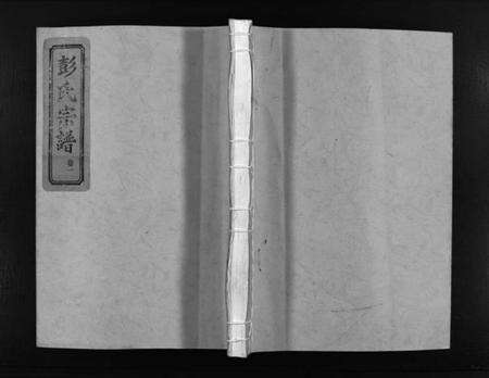 浙江彭氏族谱-彭氏宗谱 [2卷].pdf电子版预览图1