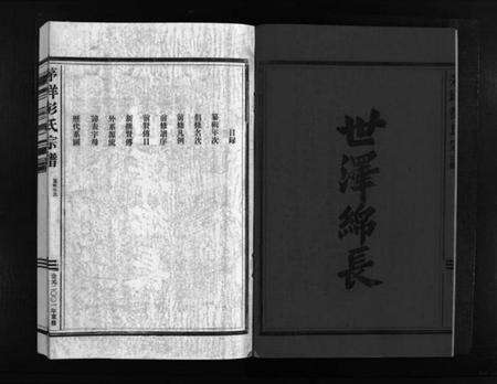 浙江彭氏族谱-彭氏宗谱 [2卷].pdf电子版预览图3