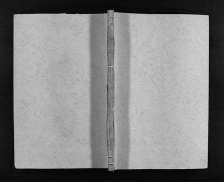 浙江彭氏族谱-彭氏宗谱 [不分卷].pdf电子版预览图1