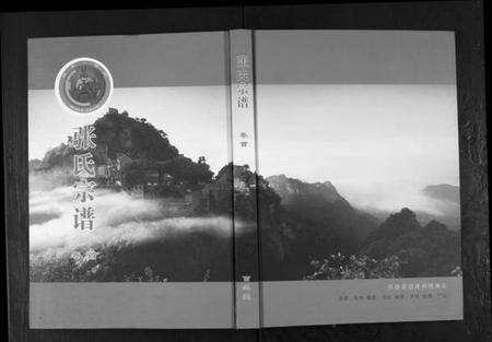 湖北张氏族谱-清河堂张氏宗谱.pdf电子版缩略图