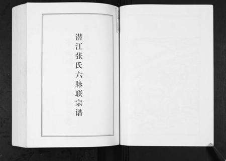 湖北张氏族谱-潜江张氏六脉联宗谱.pdf电子版预览图5