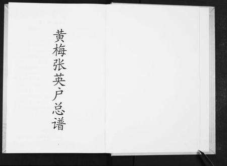 湖北张氏族谱-黄梅张英户宗谱.pdf电子版预览图1