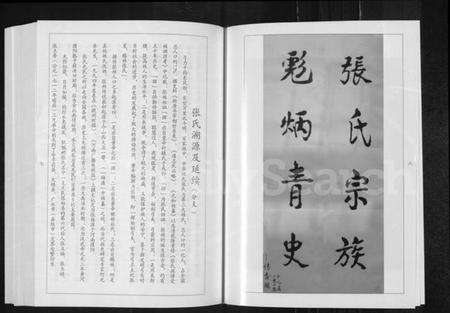 湖北张氏族谱-张氏族谱(分支).pdf电子版预览图5