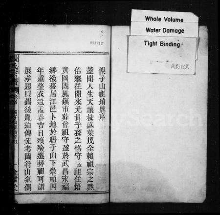 湖北张氏族谱-张氏宗谱.pdf电子版预览图1