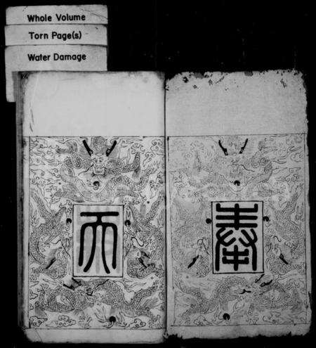 中国赵氏族谱-街上赵氏十修宗谱.pdf电子版预览图1