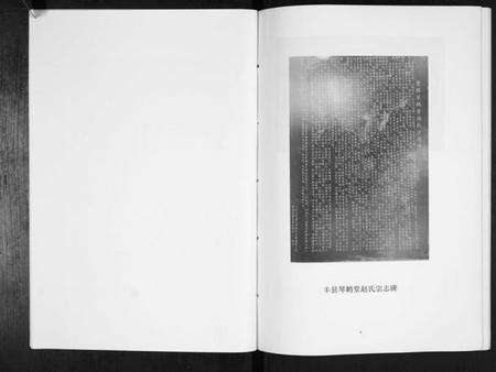 江苏赵氏族谱-古丰赵氏家谱[不分卷].pdf电子版预览图3