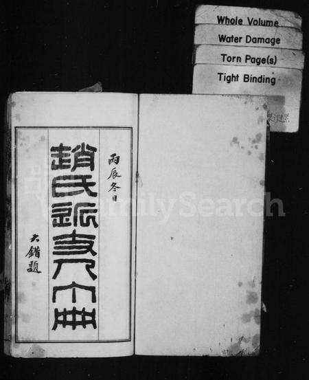 江苏赵氏族谱-赵氏近支人丁册.pdf电子版缩略图