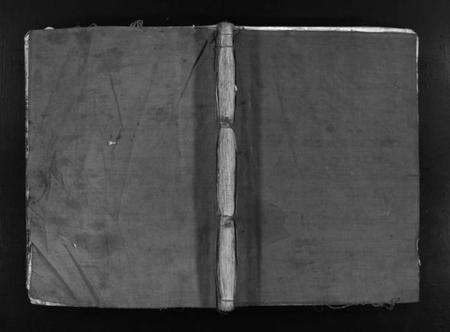 浙江徐氏族谱-徐氏宗谱 [不分卷].pdf电子版预览图1