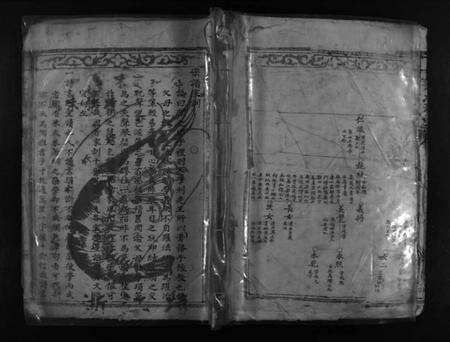 浙江徐氏族谱-徐氏宗谱 [不分卷].pdf电子版预览图1