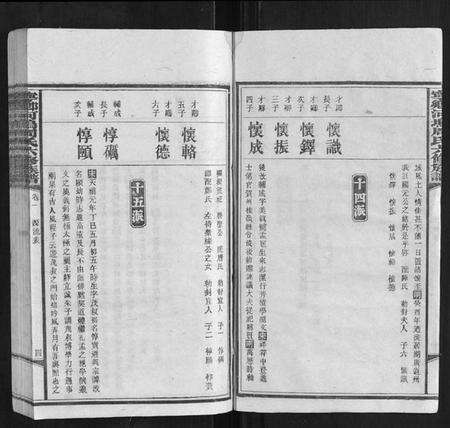 中国周氏族谱-宁乡河坞周氏六修族谱.pdf电子版预览图4