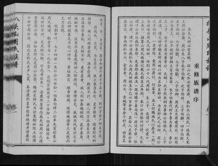 江苏周氏族谱-扒头山周氏族谱[8卷].pdf电子版预览图5