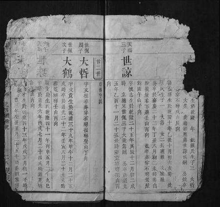 湖北周氏族谱-周氏宗谱.pdf电子版预览图4