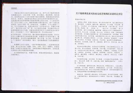 湖北周氏族谱-周氏家谱[不分卷].pdf电子版预览图5