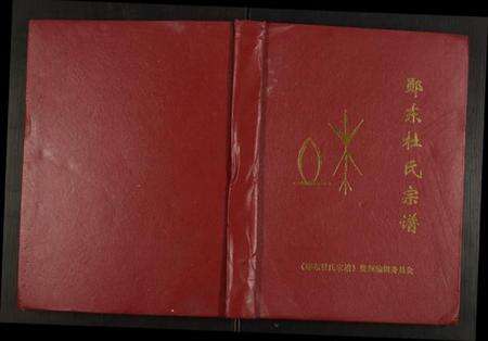 湖北杜氏族谱-郧东杜氏宗谱.pdf电子版缩略图