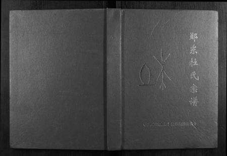 湖北杜氏族谱-郧东杜氏宗谱[不分卷].pdf电子版缩略图