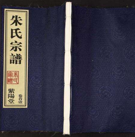 江苏朱氏族谱-朱氏宗谱.pdf电子版缩略图