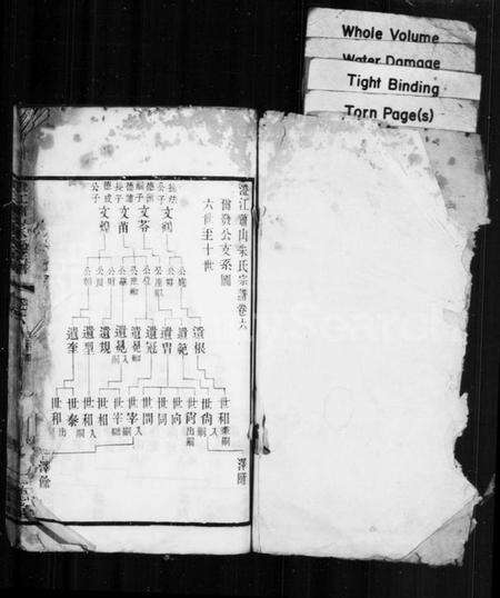 江苏朱氏族谱-澄江萧山朱氏宗谱.pdf电子版预览图1