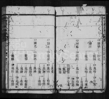 中国庄氏族谱-松洋庄氏族谱.pdf电子版预览图2