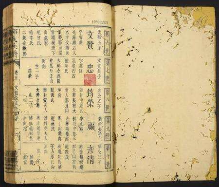 中国邹氏族谱-邹氏族谱.pdf电子版预览图1