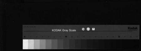 浙江应氏族谱-应氏宗谱 [16卷,首末各1卷,附首一卷].pdf电子版缩略图