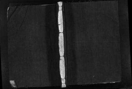 浙江应氏族谱-应氏宗谱 [不分卷].pdf电子版预览图1