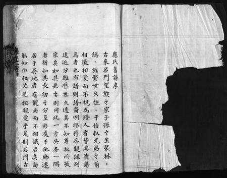 浙江应氏族谱-应氏宗谱 [不分卷].pdf电子版预览图2