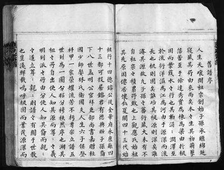 浙江应氏族谱-应氏宗谱 [不分卷].pdf电子版预览图4