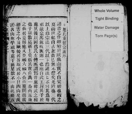 浙江应氏族谱-应氏宗谱 [残卷].pdf电子版预览图2