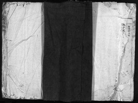 浙江应氏族谱-应氏族谱 [不分卷].pdf电子版预览图1