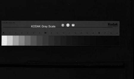 浙江应氏族谱-应氏总祠主谱 [残卷].pdf电子版缩略图