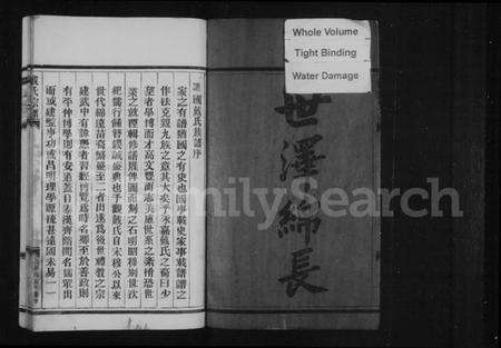 浙江戴氏族谱-戴氏宗谱.pdf电子版预览图4