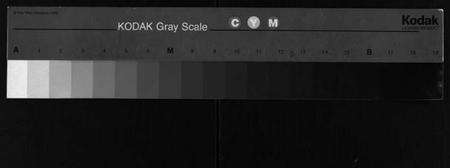 浙江马氏族谱-扶风茂陵马氏宗谱.pdf电子版缩略图