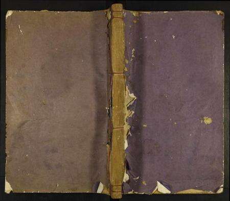 江西傅氏族谱-朗塘傅氏宗谱.pdf电子版缩略图