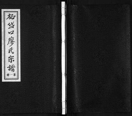 浙江廖氏族谱-拓岱口廖氏宗谱[3卷].pdf电子版缩略图