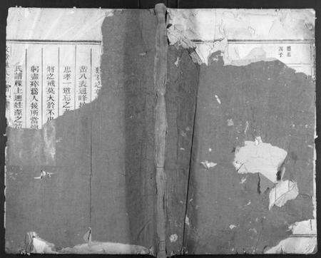 浙江林氏族谱-文堂林氏宗谱[不分卷].pdf电子版缩略图