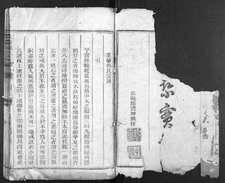 浙江林氏族谱-文堂林氏宗谱[不分卷].pdf电子版预览图1