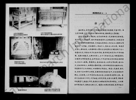 浙江陈氏族谱-新屋陈氏志(桃溪陈氏志).pdf电子版预览图5